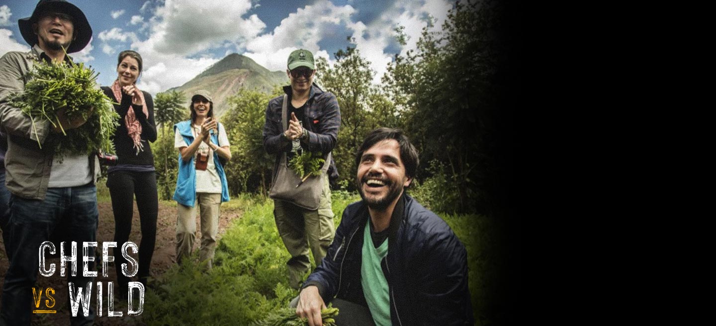 دانلود سریال سرآشپزها در برابر طبیعت Chefs vs. Wild